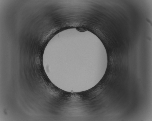 X0000100500256200807031947