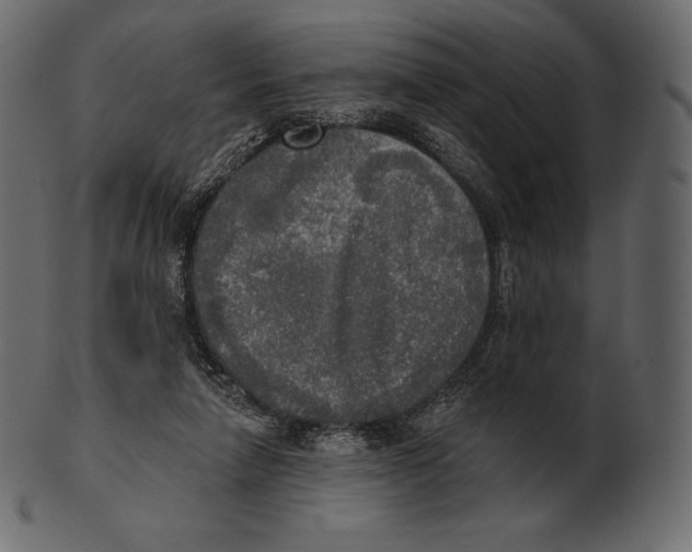 X0000100500258200807031947