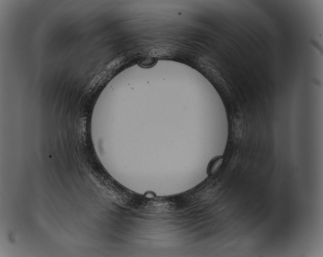 X0000100500260200807031947