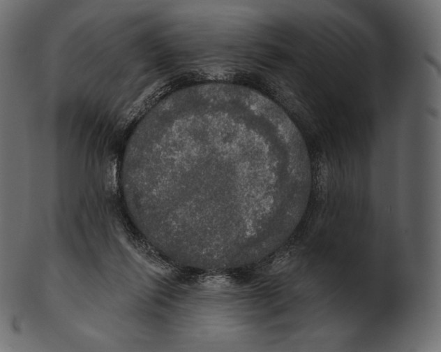 X0000100500262200807031947