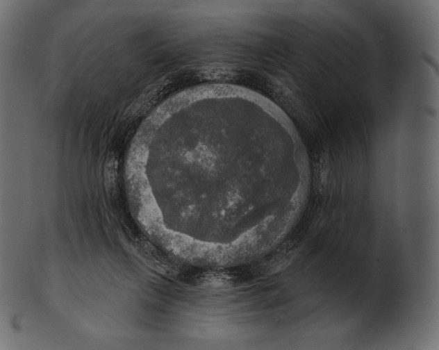 X0000100500263200807031947