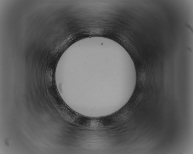 X0000100500264200807031947