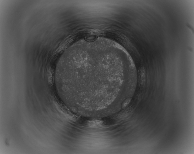 X0000100500266200807031947