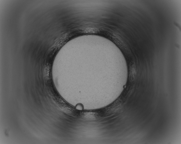 X0000100500268200807031947