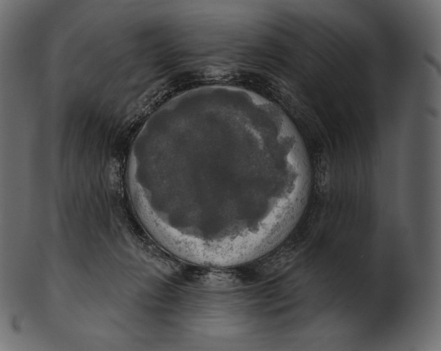 X0000100500270200807031947