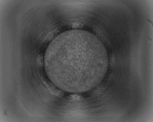 X0000100500272200807031948