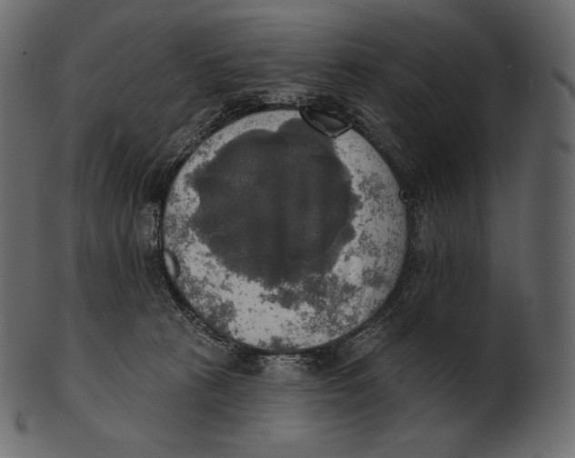 X0000100500273200807031948