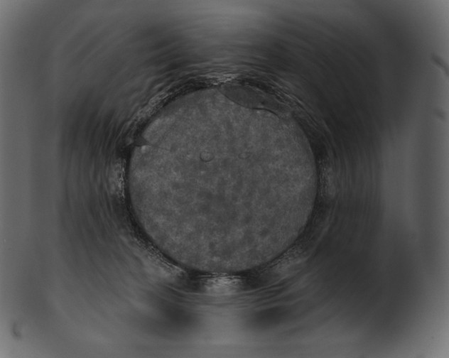 X0000100500274200807031948