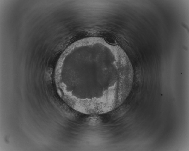 X0000100500275200807031948