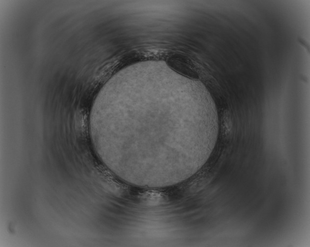 X0000100500276200807031948