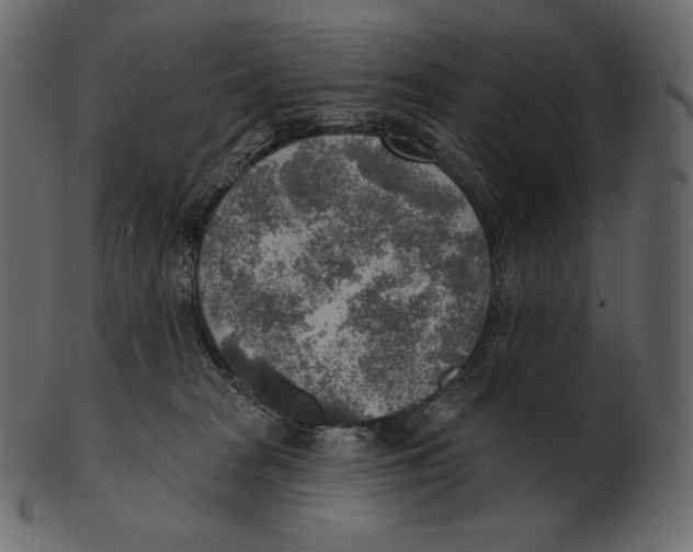 X0000100500277200807031948