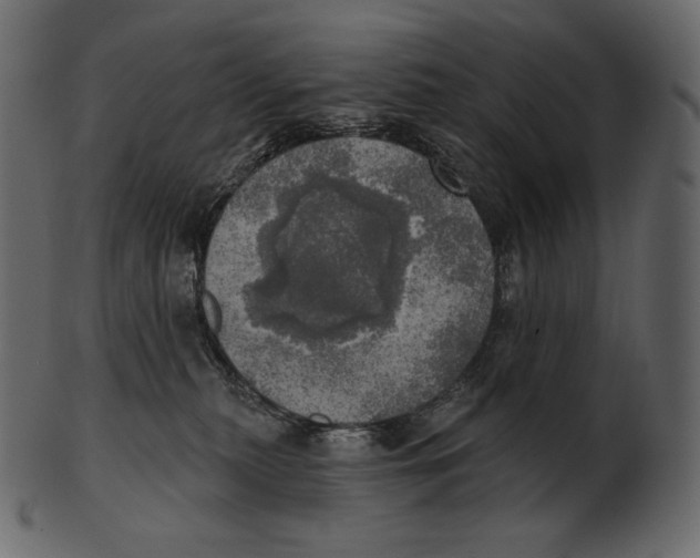 X0000100500279200807031948