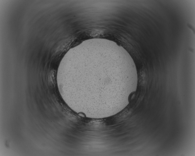 X0000100500280200807031948