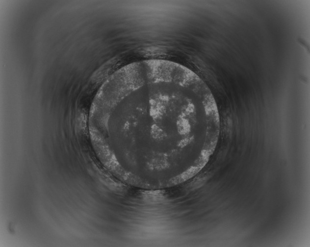 X0000100500281200807031948