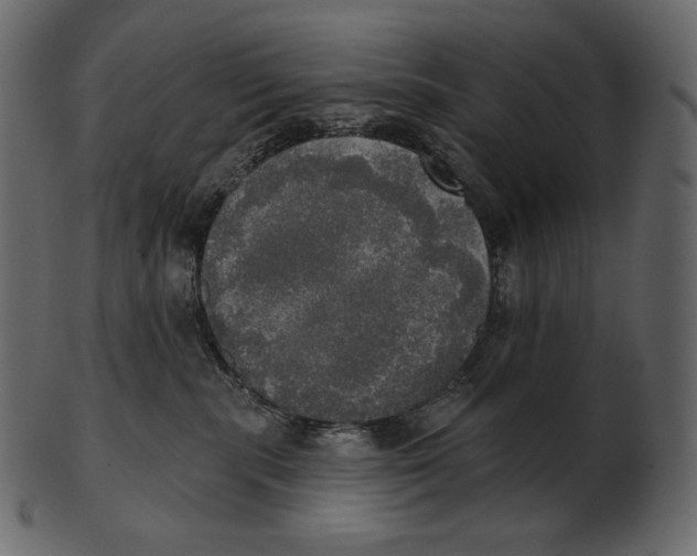 X0000100500283200807031948