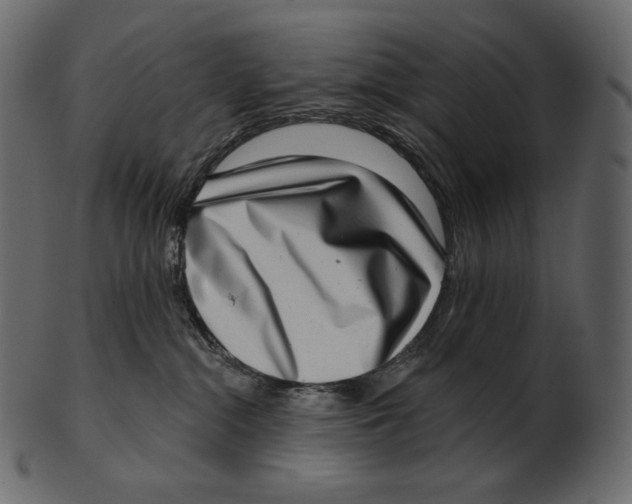 X0000100500284200807031948