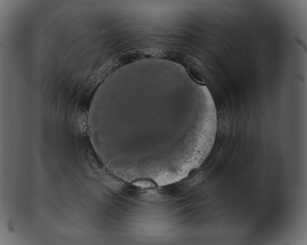 X0000100500285200807031948