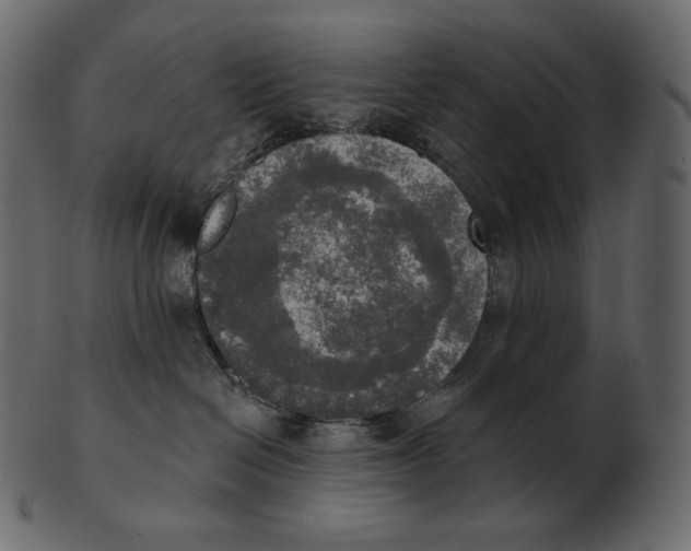 X0000100500286200807031948