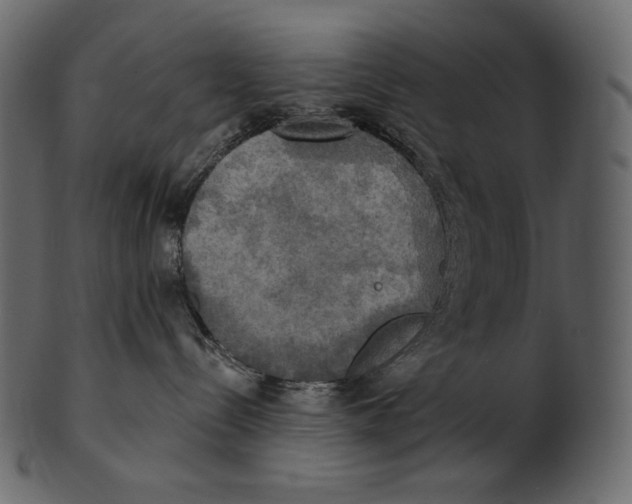 X0000100500288200807031948