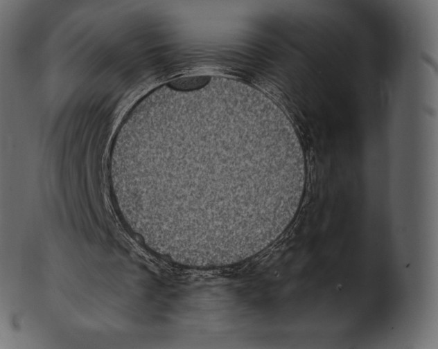 X0000100500289200807031947