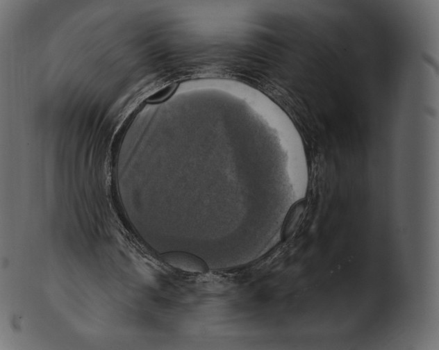 X0000100500290200807031947