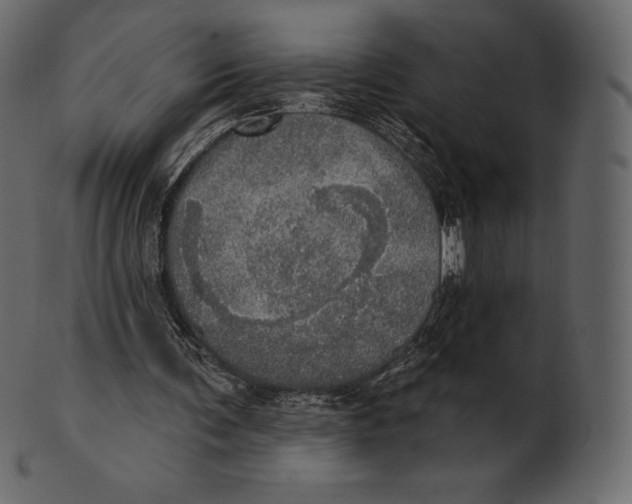 X0000100500291200807031947