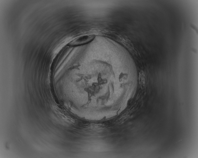 X0000100500292200807031947