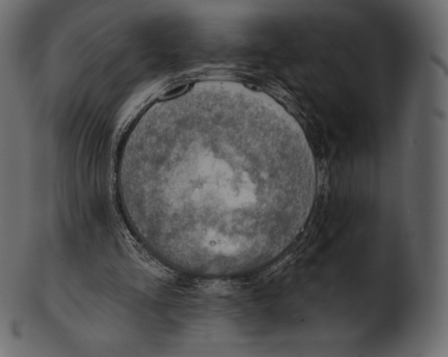 X0000100500293200807031947