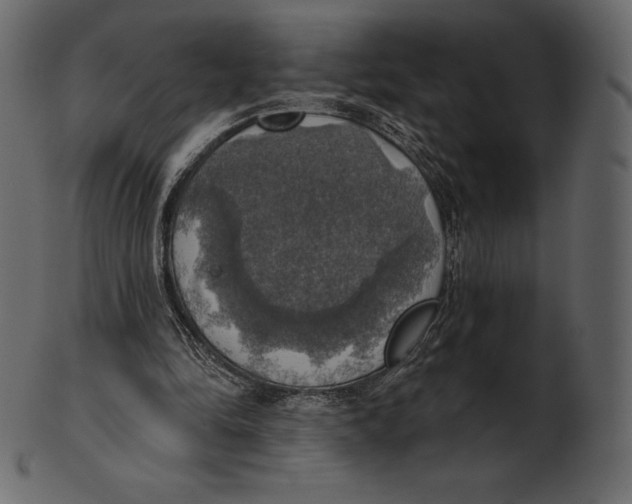 X0000100500294200807031947