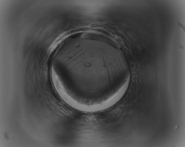 X0000100500295200807031947