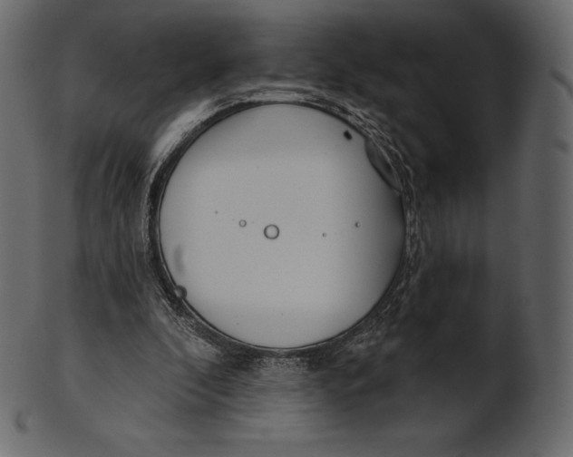 X0000100500296200807031947