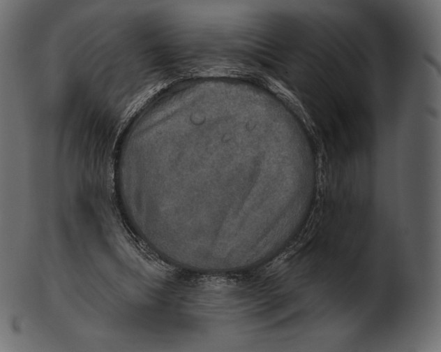 X0000100500298200807031947