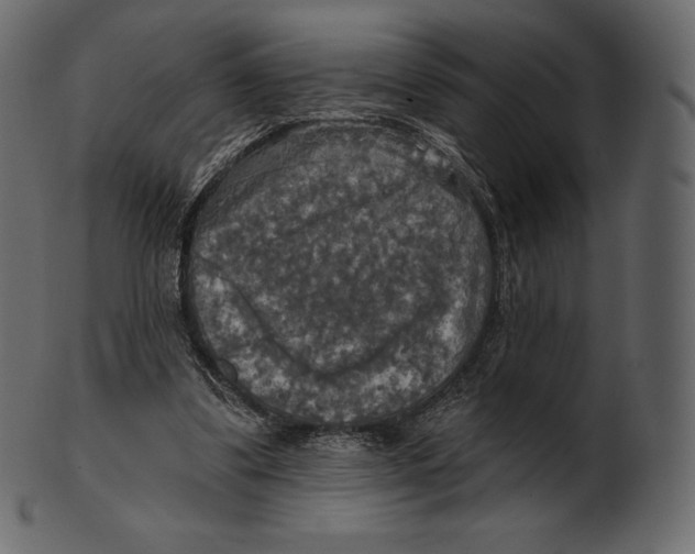 X0000100500299200807031947