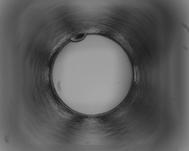 X0000100500300200807031947