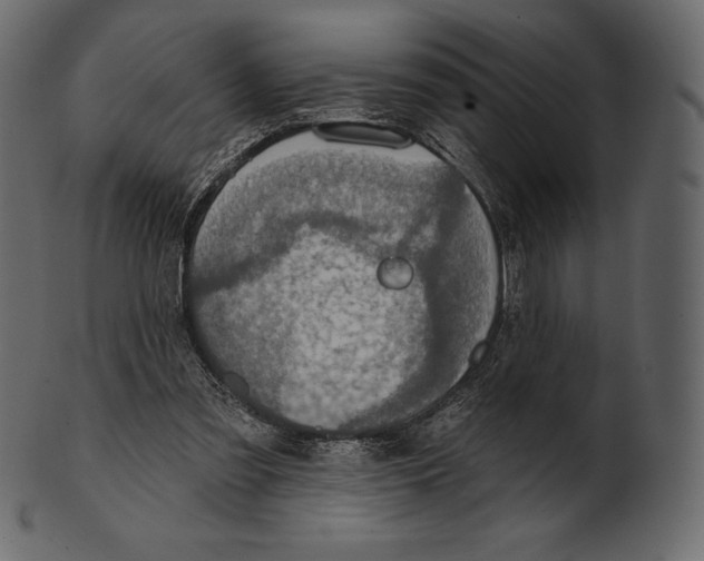 X0000100500301200807031947