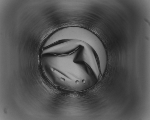 X0000100500302200807031947