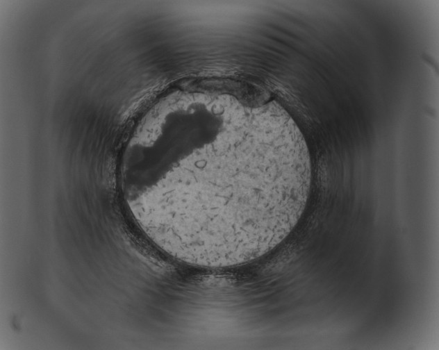 X0000100500303200807031947