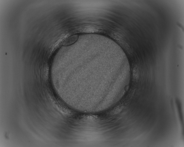 X0000100500304200807031947