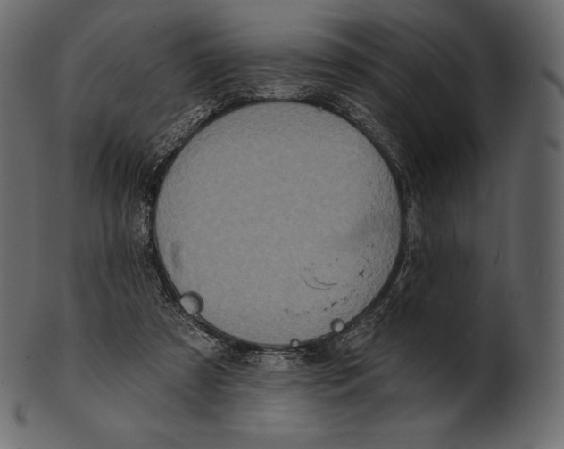 X0000100500305200807031947