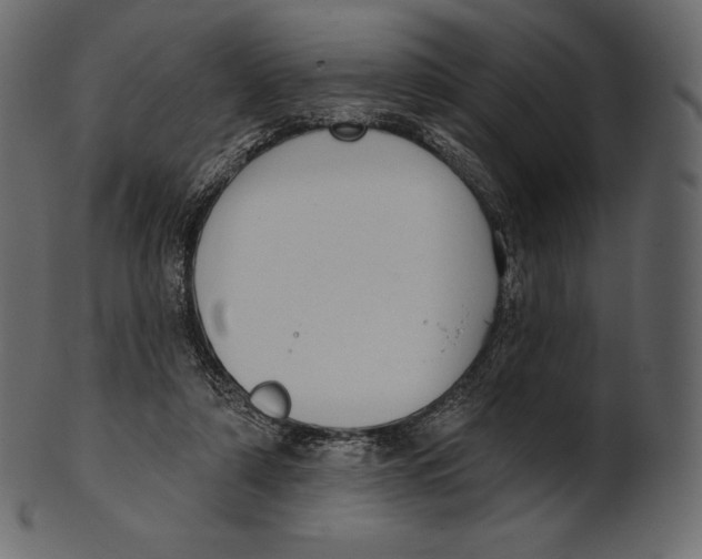 X0000100500306200807031947