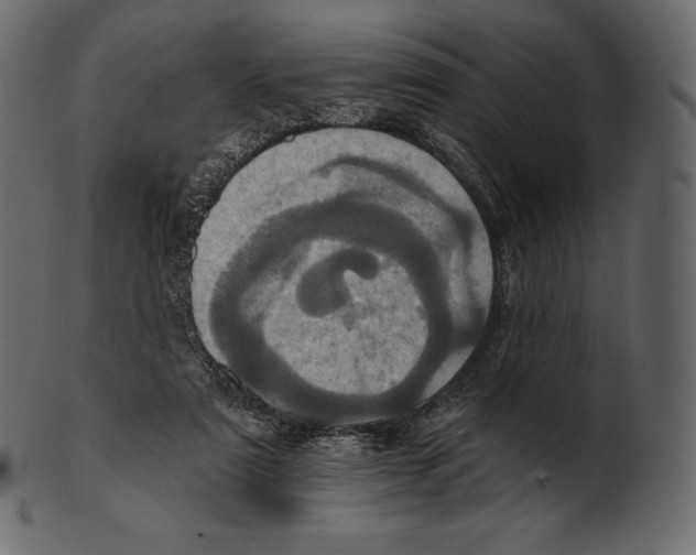 X0000100500307200807031947