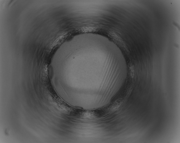 X0000100500308200807031947