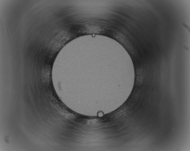 X0000100500309200807031947