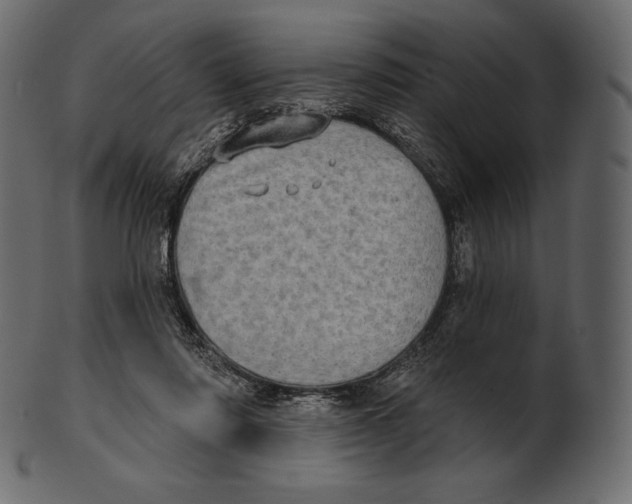 X0000100500310200807031947