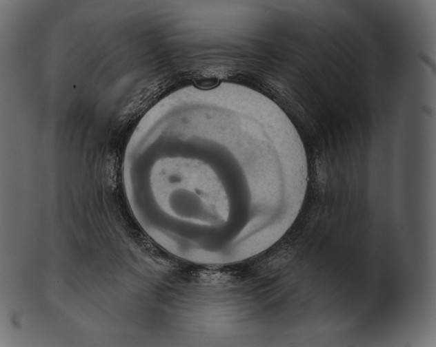 X0000100500311200807031947