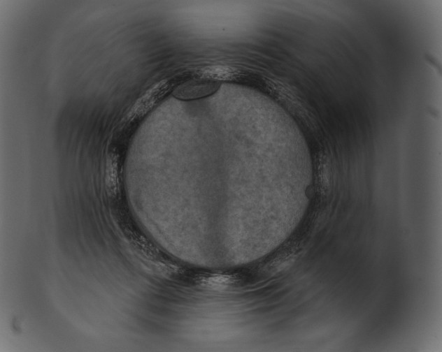 X0000100500312200807031947