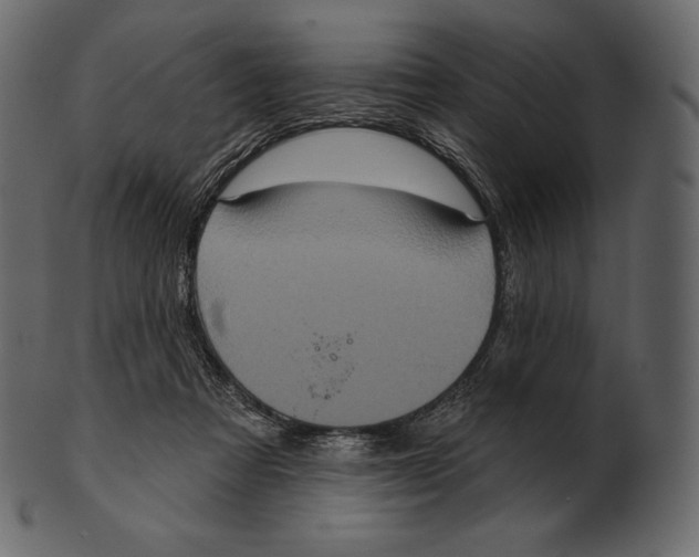 X0000100500313200807031947