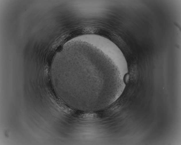 X0000100500314200807031947