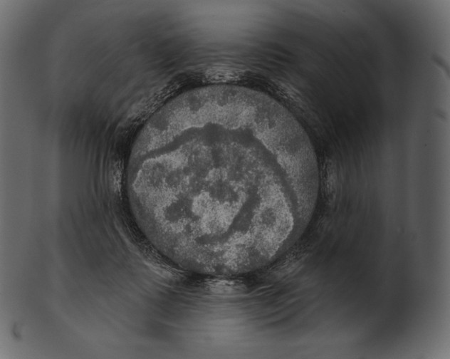 X0000100500315200807031947