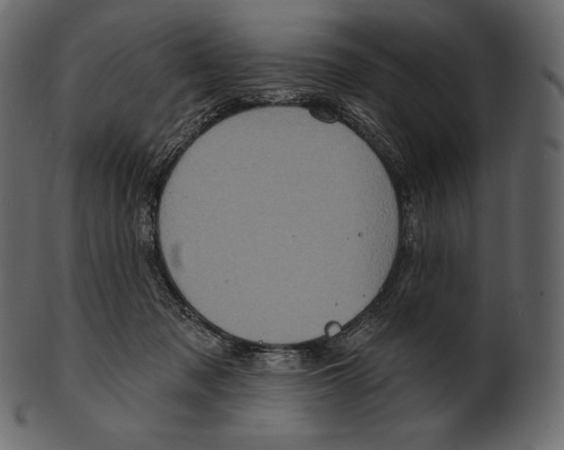 X0000100500317200807031947